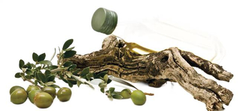 1x Żel pod prysznic ZIAJA oliwkowy 500 m